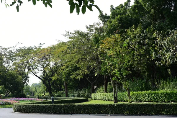 Vista Panorámica Del Soleado Parque Con Exuberante Vegetación —  Fotos de Stock