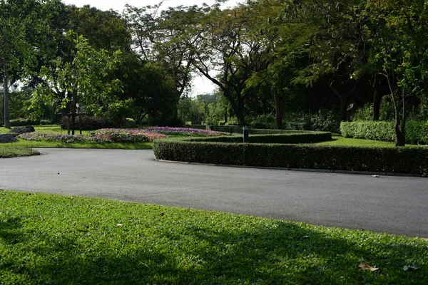 Scenic View Sunny Park Lush Greenery — Stock Photo, Image