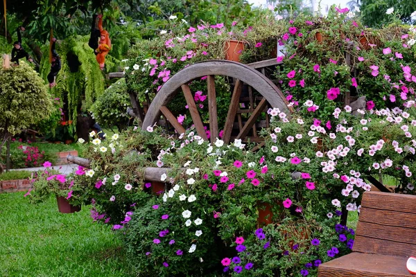 Hermoso Jardín Alrededor Casa Hermoso Jardín Decorado Con Árboles Flores — Foto de Stock