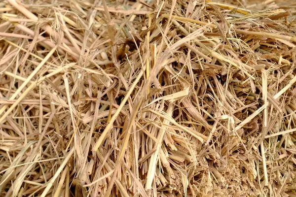 Haufen Trockener Strohhalme Texturtapete — Stockfoto