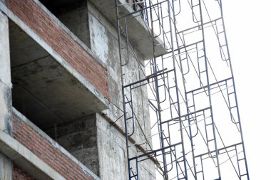 Bahçede renkli çiçek. Plumeria çiçek çiçeklenme. Güzel bahçe Blooming yaz aylarında çiçeklenir.