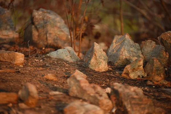 Rocks on ground, natural stones texture.