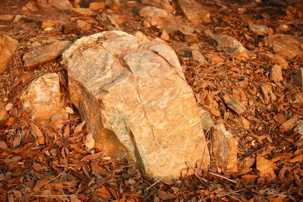 Rocks on ground, natural stones texture.