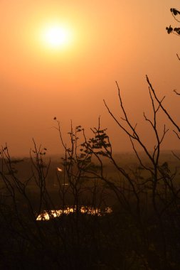Güzel dalları olan altın günbatımı