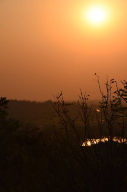 Güzel dalları olan altın günbatımı