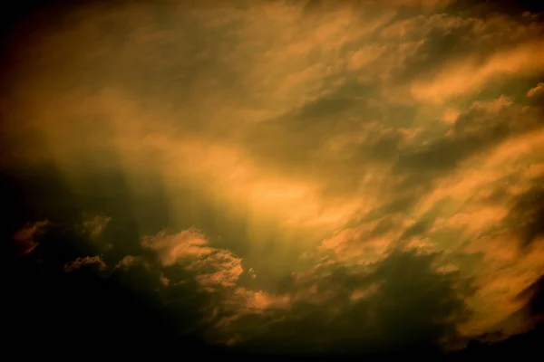 Закат Золотисто Желтой Природной Красотой Используется Качестве Фонового Изображения — стоковое фото