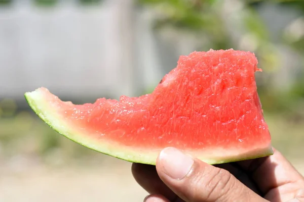 Taze Kırmızı Karpuz Yendiğinde Ferahlatıcı Bir Tatlı Tadı Vardır — Stok fotoğraf