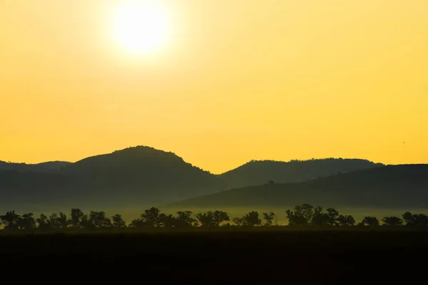 Bild Einer Untergehenden Sonne Hinter Einem Dichten Waldgebiet Gefolgt Von — Stockfoto