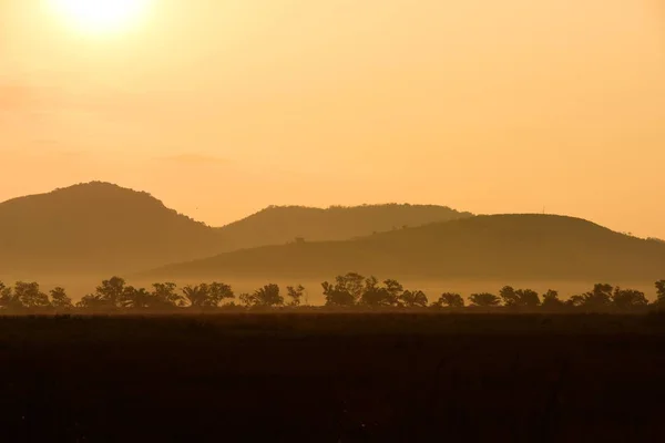 Bild Einer Untergehenden Sonne Hinter Einem Dichten Waldgebiet Gefolgt Von — Stockfoto