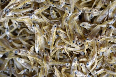 Kurutulmuş balık, Tay balıkçıların yerel gıda işleme taze gıda pazarına teslim için ürün