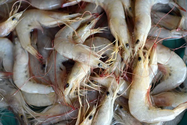 Frutos Mar Frescos Dos Pescadores Locais Produtos Para Venda Mercado — Fotografia de Stock