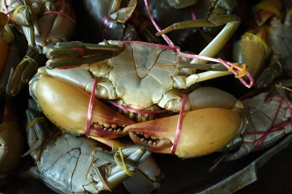 Yerel Balıkçılardan Taze Deniz Ürünleri Taze Gıda Pazarına Satılık Ürünler — Stok fotoğraf