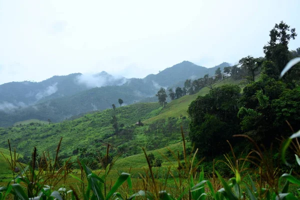 Vista Exuberante Paisaje Montañoso Verde — Foto de Stock