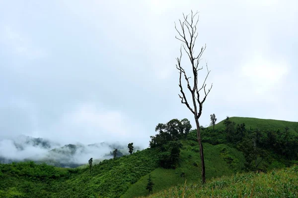 Vista Exuberante Paisaje Montañoso Verde — Foto de Stock