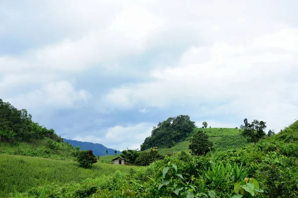 Vista Exuberante Paisaje Montañoso Verde — Foto de Stock