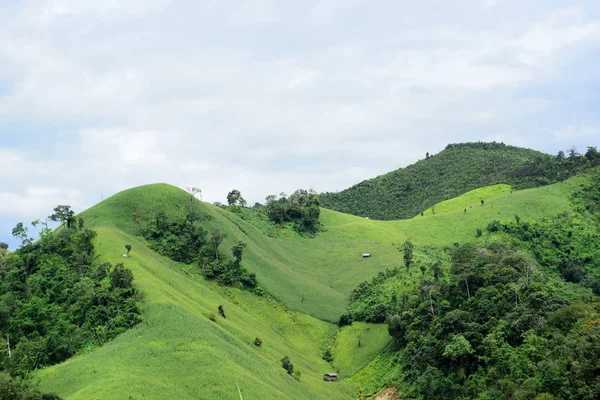 Vista Exuberante Paisaje Montañoso Verde — Foto de Stock