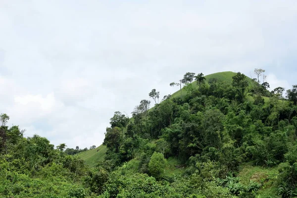 Vista Exuberante Paisaje Montañoso Verde — Foto de Stock