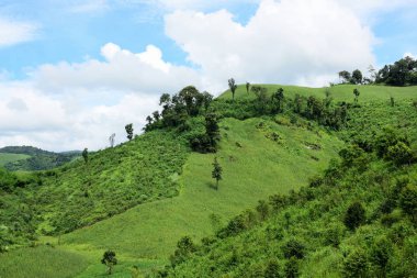 yemyeşil dağ manzarası