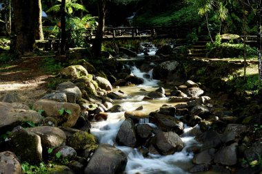 Kayaların manzarası ve dağ nehri akıntısı 