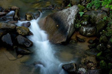 Kayaların manzarası ve dağ nehri akıntısı 