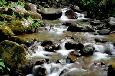 Kayaların manzarası ve dağ nehri akıntısı 