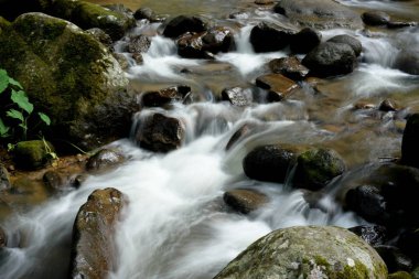 Kayaların manzarası ve dağ nehri akıntısı 