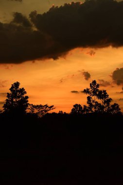 Gün batımı bulutlu gökyüzü ve ağaç siluetleri.