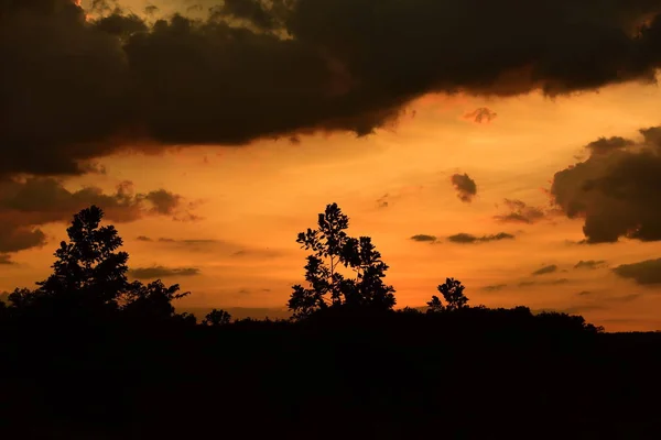 Vista Del Tramonto Cielo Nuvoloso Con Silhouette Alberi — Foto Stock