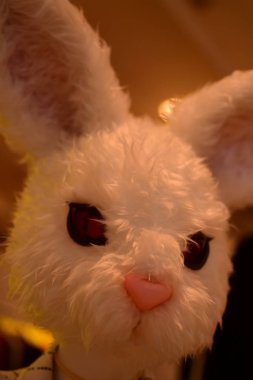 Pelüş tavşan oyuncağına yaklaş