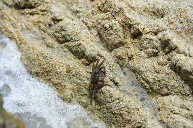 Tayland 'da kayalık deniz kıyısı