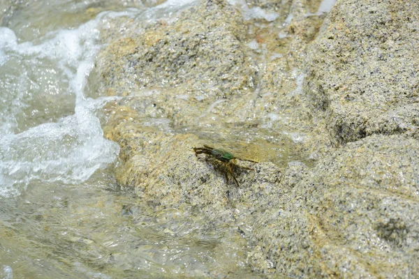 Orilla Rocosa Tailandia — Foto de Stock