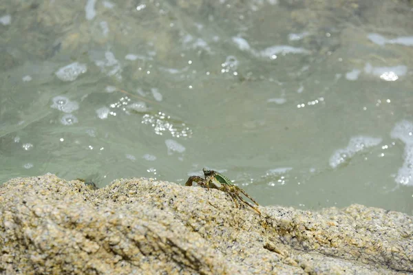 Orilla Rocosa Tailandia — Foto de Stock