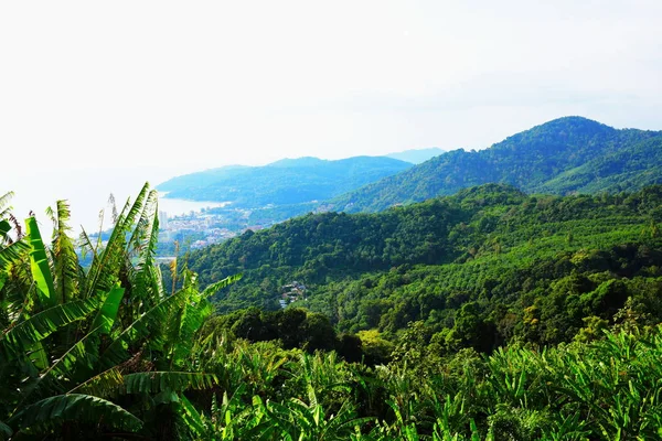 View Lush Green Mountainous Landscape — Stock Photo, Image