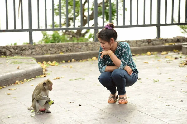 Asiatico Donna Posa Con Carino Scimmia — Foto Stock