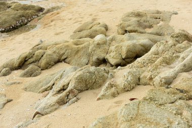 Taşlı kumlu sahil