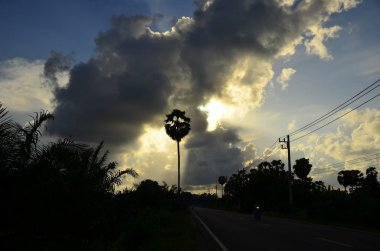 inanılmaz gün batımı ve palmiye ağaçları
