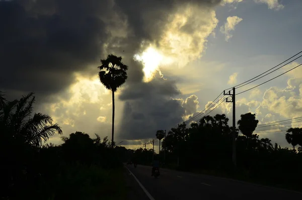 Increíble Puesta Sol Palmeras — Foto de Stock