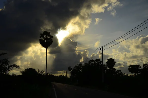 Increíble Puesta Sol Palmeras — Foto de Stock