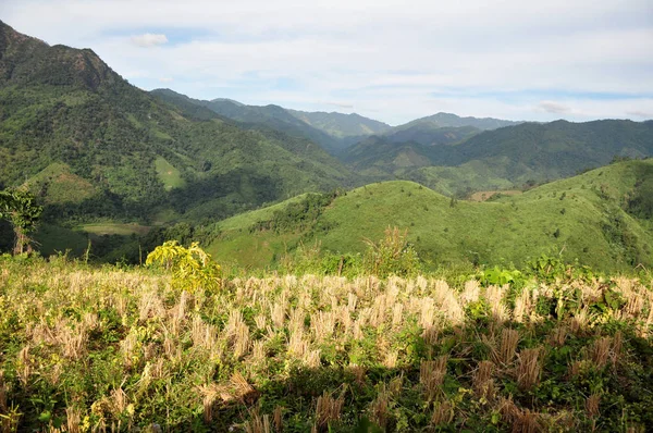 Vista Exuberante Paisaje Montañoso Verde — Foto de Stock