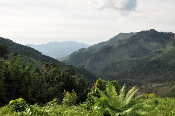 yemyeşil dağ manzarası