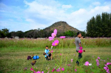 Bulanık baba ve oğul yeşil alanda