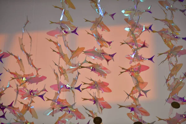 Güzel balık dekorasyonları arka plan