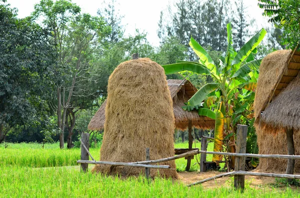 Straw Bales Field Countryside — стоковое фото