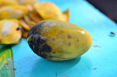 Taze incir meyvesine yakın durun.