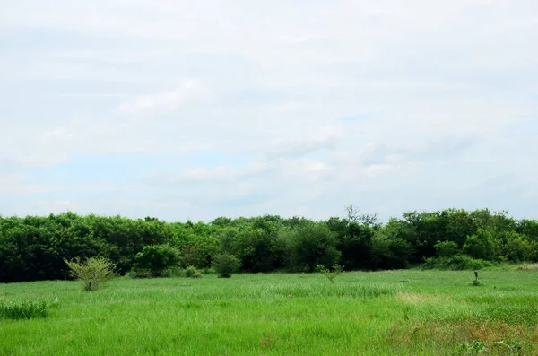 Yeşil Alan ve Bulutlu Gökyüzü