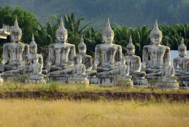 Tarlada gündüz Buda heykelleri 