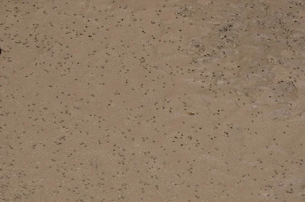 Superfície Areia Texturizada Abstrata Como Fundo — Fotografia de Stock