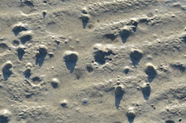 soyut dokulu kum yüzeyi arkaplan olarak 