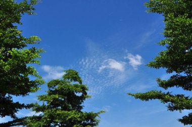 güzel gökyüzü arka plan doğa manzara 