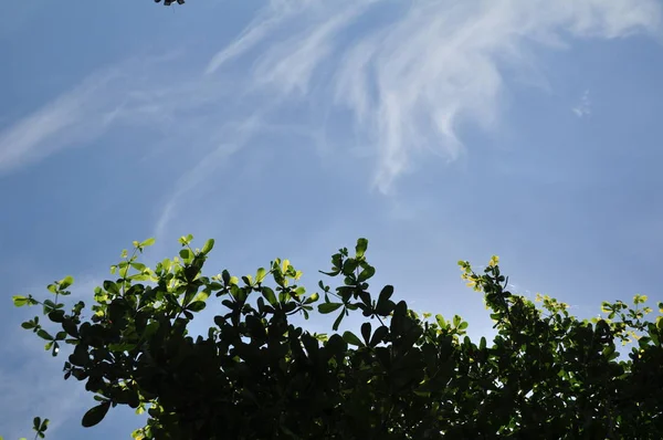 Mooie Hemel Achtergrond Natuur Schilderachtig Uitzicht — Stockfoto